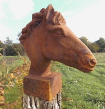 Buste cheval - cheval,