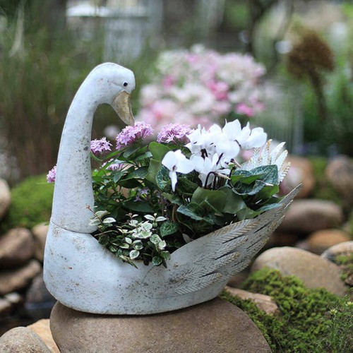 Pot fleurs cygne - de,