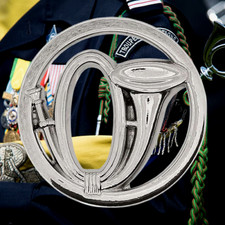 PIN'S CHASSEUR ALPIN - Insigne