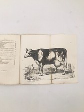 Choix des vaches laitières -