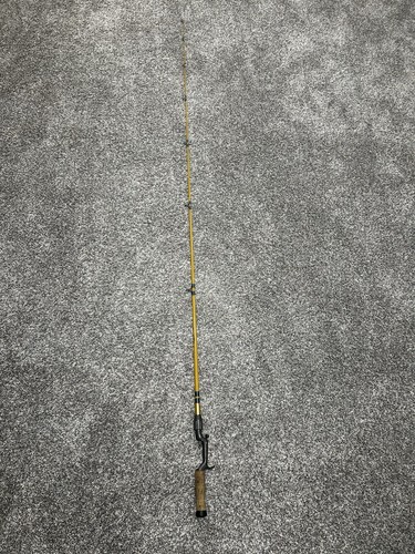 Fishing rod vintage fenwick - fishing, sc