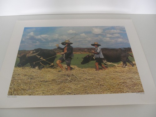 Ancienne planche affiche - ancienne,