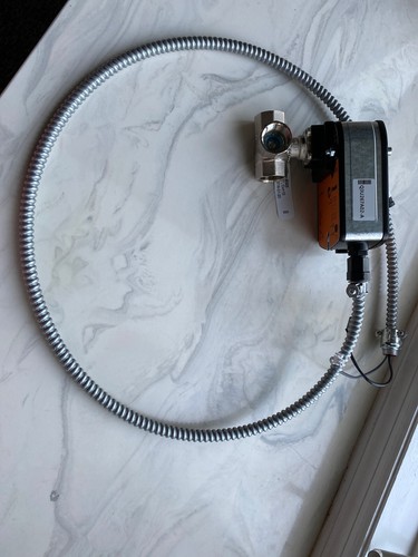 Fpt way belimo valve w - fpt, 3