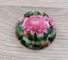 Capsule de vin pétillant