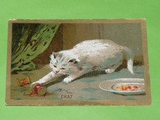 CHROMO 1910-1930 ECOLE