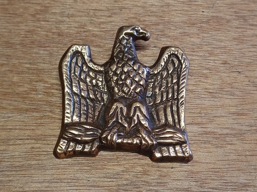 Belle reproduction aigle - reproduction,