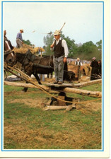 *29481 cpm Scènes Normandes - le manège à chevaux qui actionne la batteuse