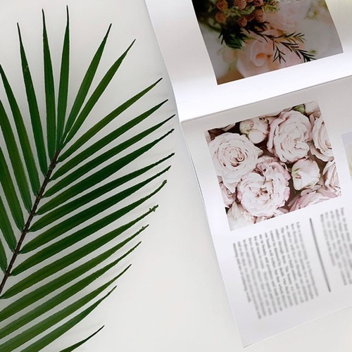 Feuilles palmier areca - de,