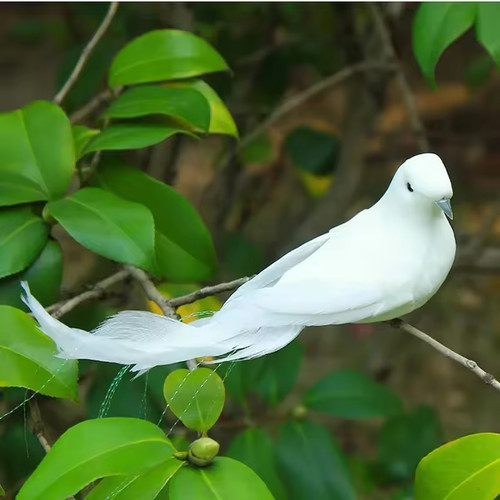 Faux oiseau blanc avec - , clip
