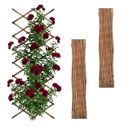 Treillis bois extensible