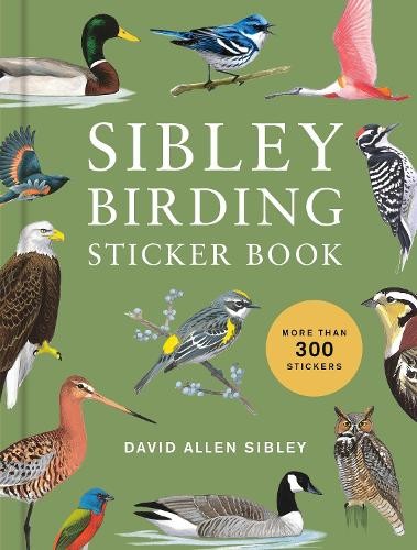 David allen sibley - david,