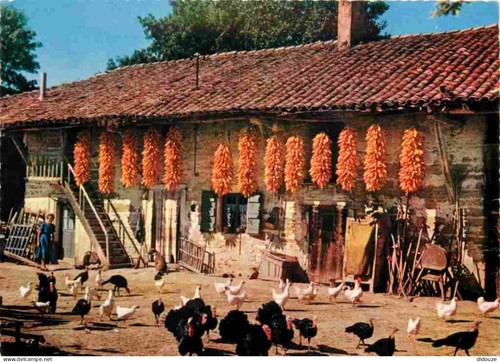 Carte postale ain - carte,