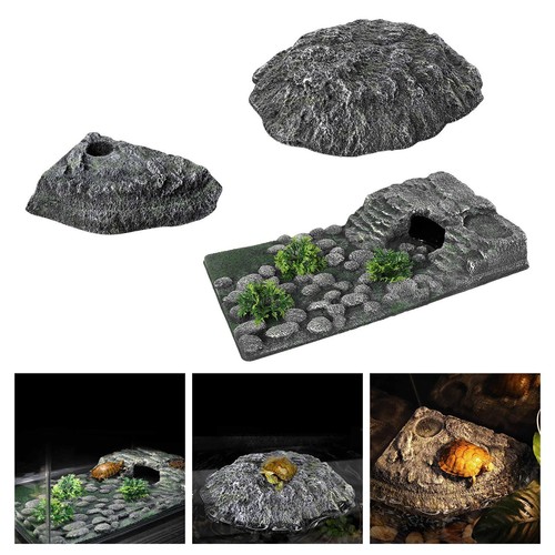 Tortues tant que reptiles - tortues, en