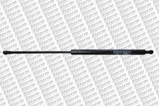 VéRIN DE COFFRE / HAYON