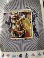 Entei & Raikou  Légende 91/95 | Déchaînement Fr