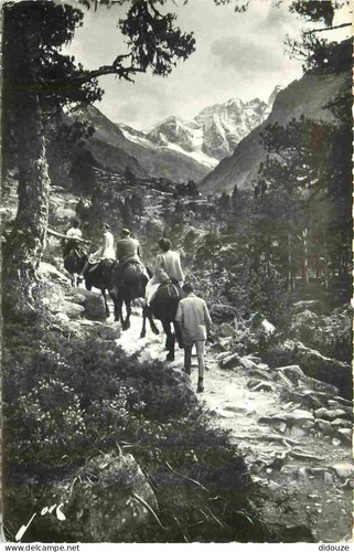 Carte postale cauterets - carte, -65