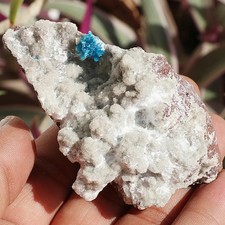 100 naturel cavansite - 100%,