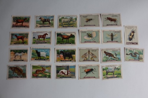 Vignettes chocolat - (, 22