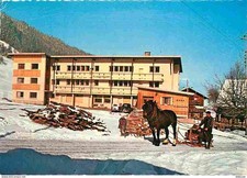 Animaux - Chevaux - Morzine - Pension d'enfants Florimont - Traineau - Automobil