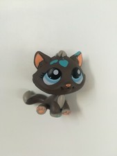 Chat gouttière marron yeux