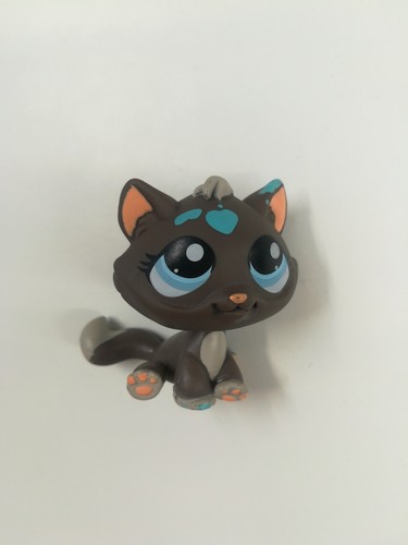 Chat gouttière marron yeux