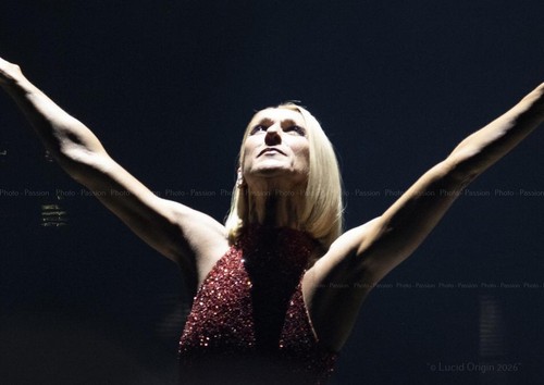 Photo céline dion portrait - dion,