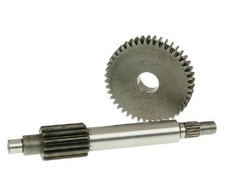 Transmission MALOSSI primaire