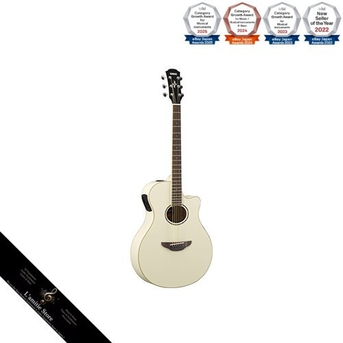 Guitare acoustique électrique - guitare, acoustique-électrique