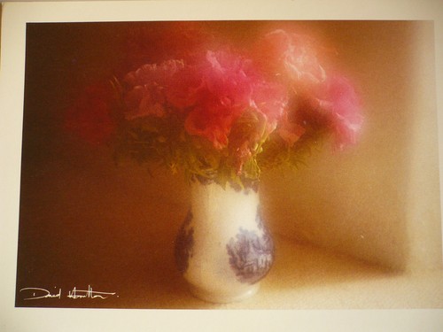 Carte postale david - postale,
