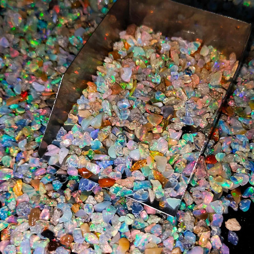 Sec opale naturel 250 pièces - sec,