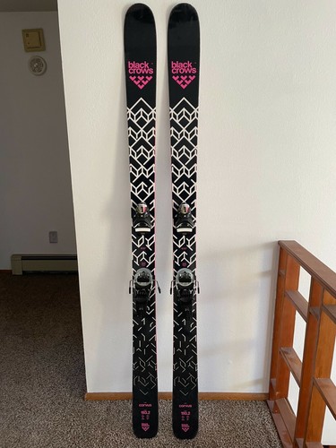 Black crow corvus - corvus, skis
