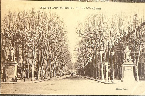 Carte postale postcard - 🦬,