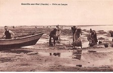 50 - n°73050 - GOUVILLE-SUR-MER - Pêche au Lançon