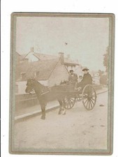 Photographie cdv savigny - photographie,