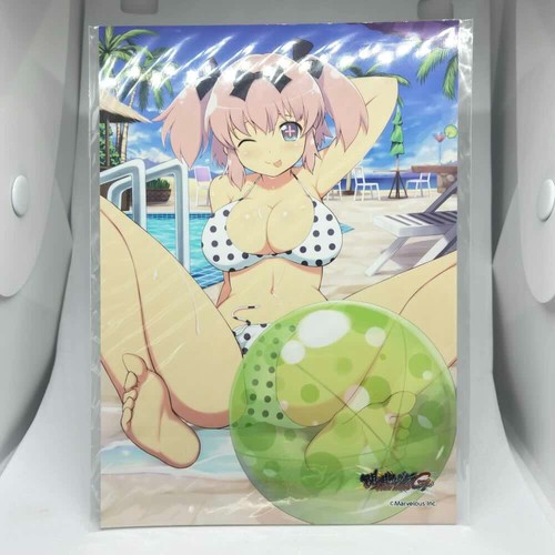 Hibari senran kagura new - 08,
