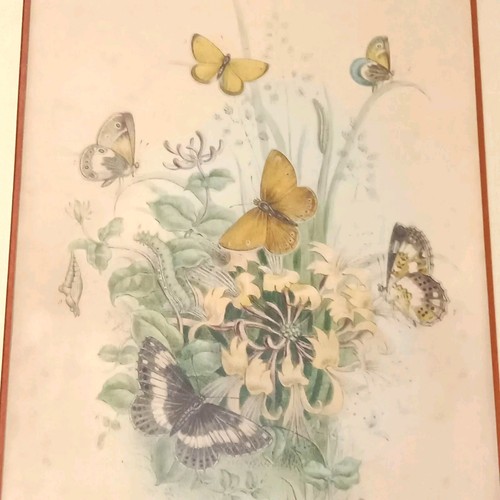 Gravure originale xixe - gravure,