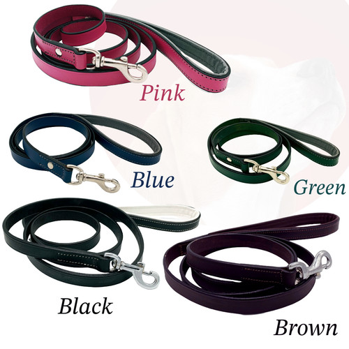 Laisse chien cuir - laisse,