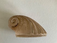 RARE TULIPE FORME COQUILLAGE