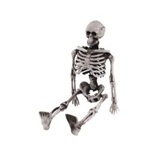 Ornement du corps de crâne