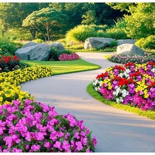 Realistic Impatiens Silk