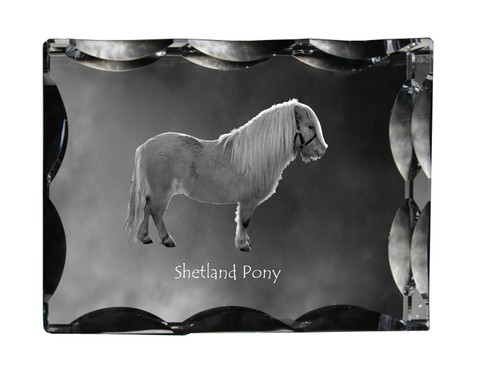 Poney shetland crystal avec - shetland,