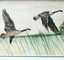 Envol des Canards  Aquarelle Signée Cadre
