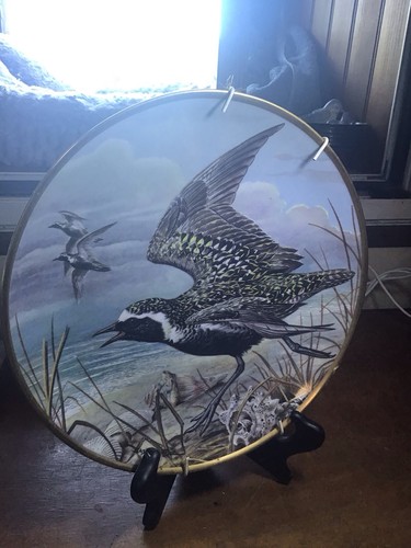 Assiette décorative waterbird - assiette,