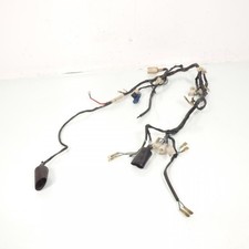 Faisceau électrique origine