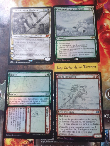 Lot cartes magic 22 - cartes,