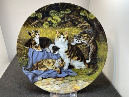 Assiette collection - assiette,