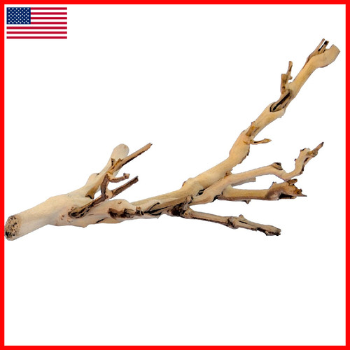 Exo terra forest branch - terra,
