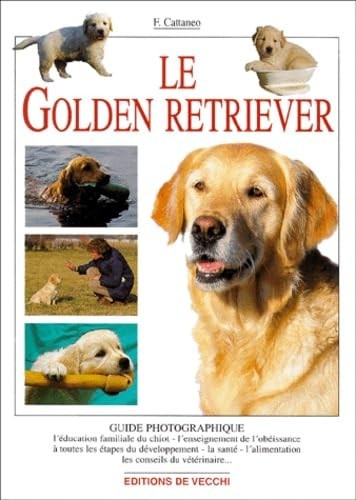 Golden retriever cattaneo - le,