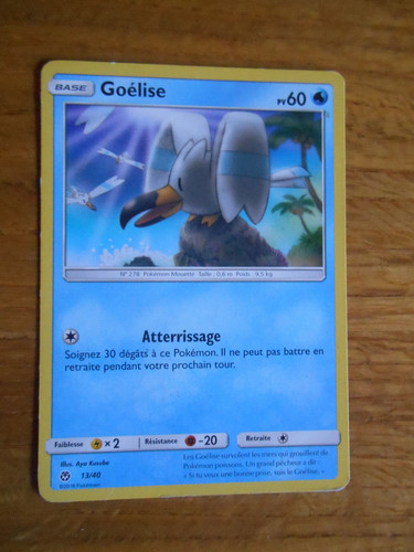Carte pokémon goélise pv - goélise, 60