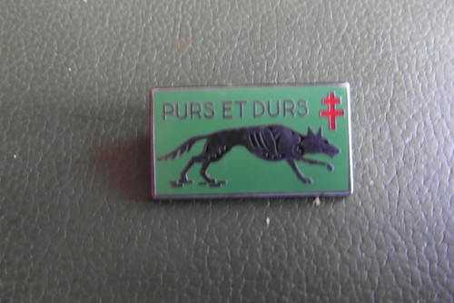 Insigne poitrine corps - insigne,